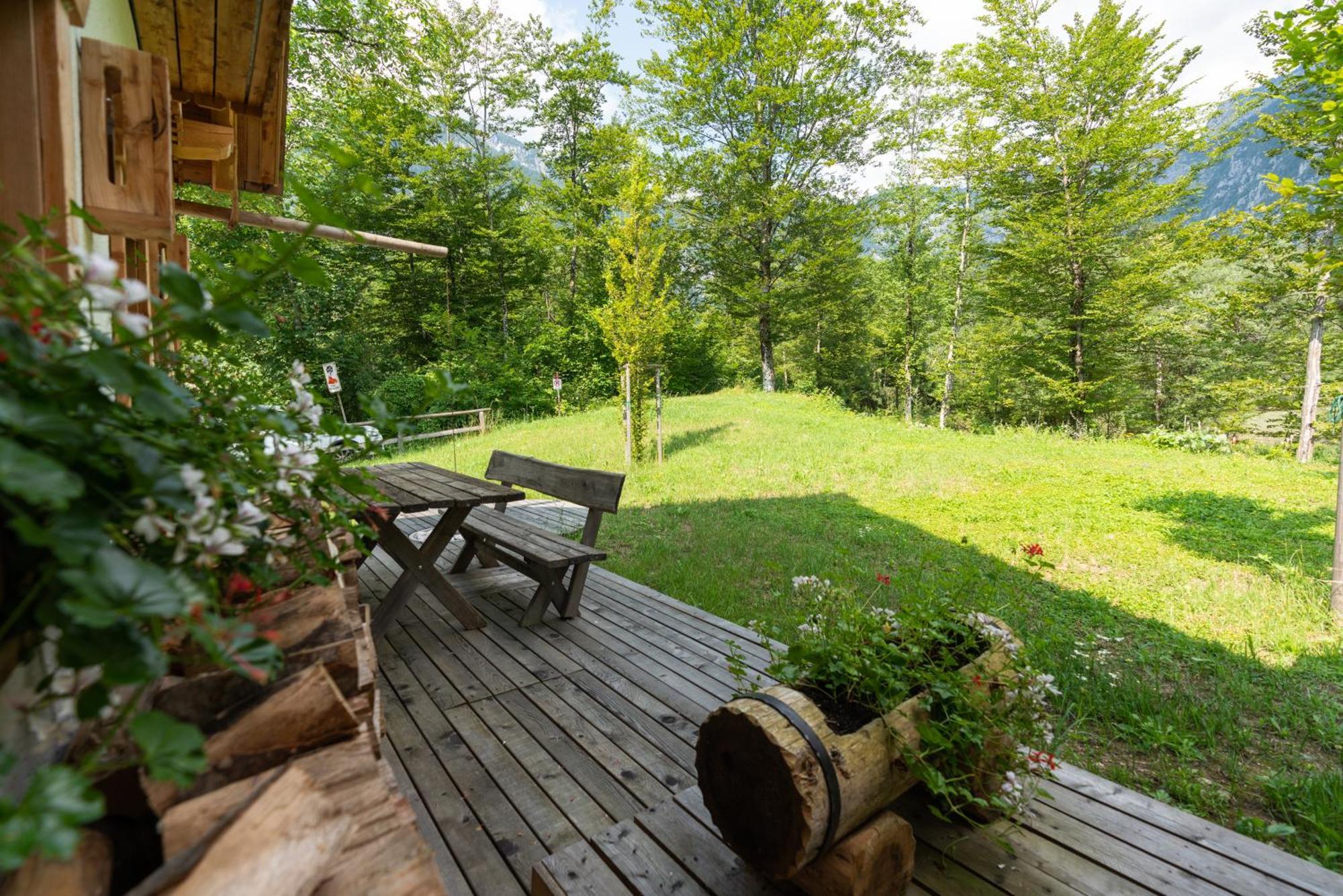 Alpik Chalets - Bohinj Buitenkant foto