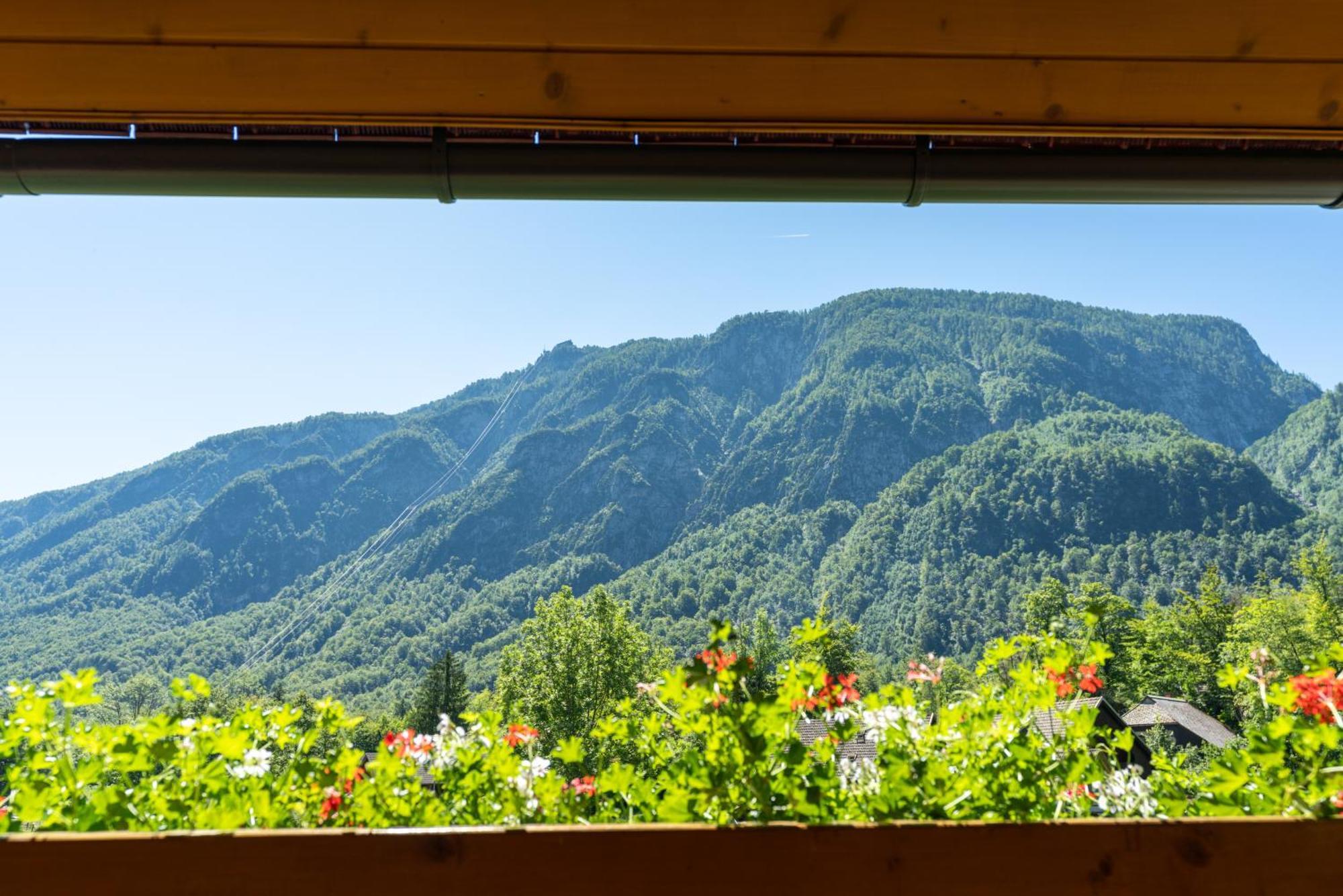 Alpik Chalets - Bohinj Kamer foto